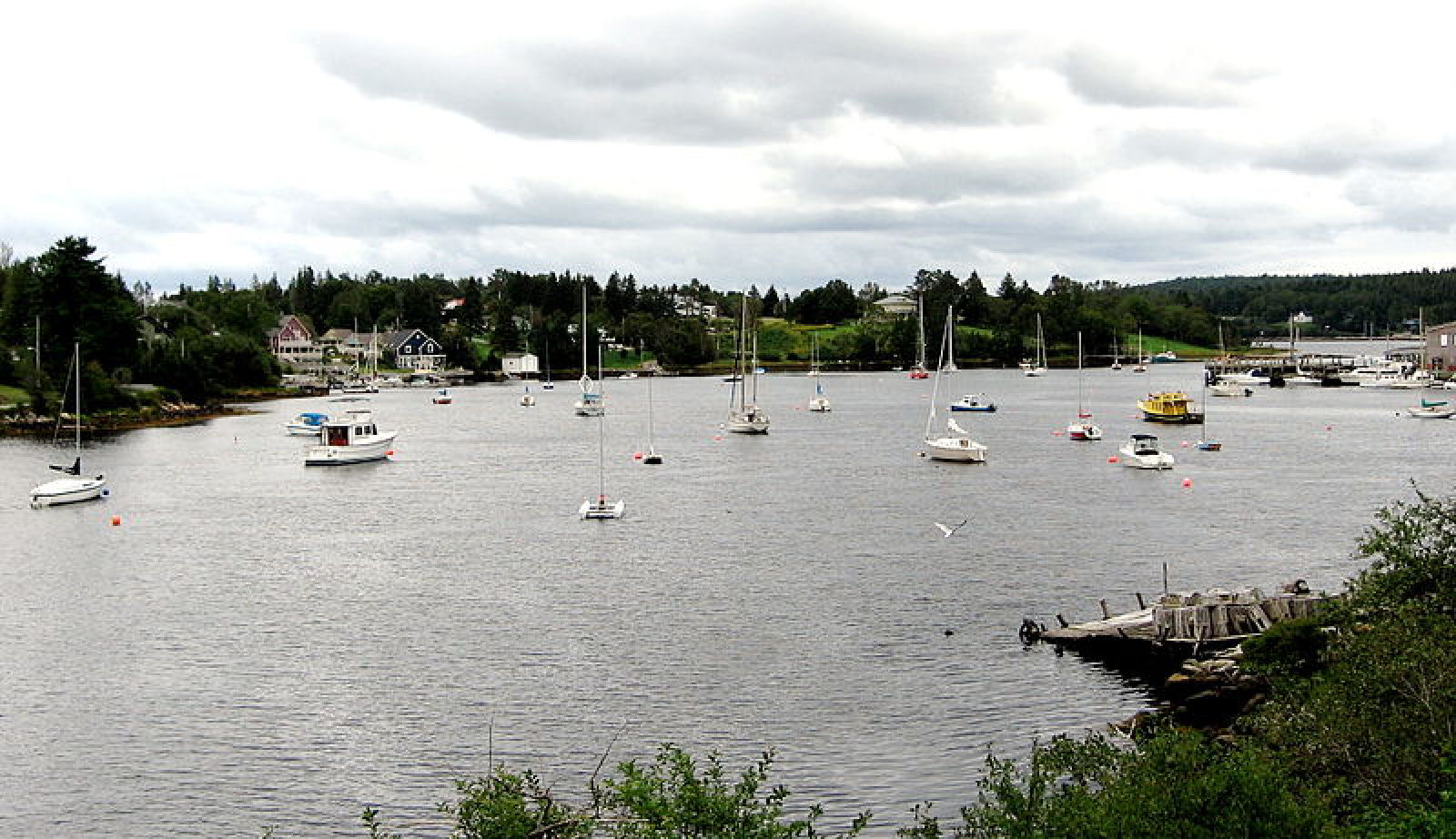 View of Hubbards Cove