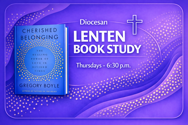 Diocesan Lenten Book Study
